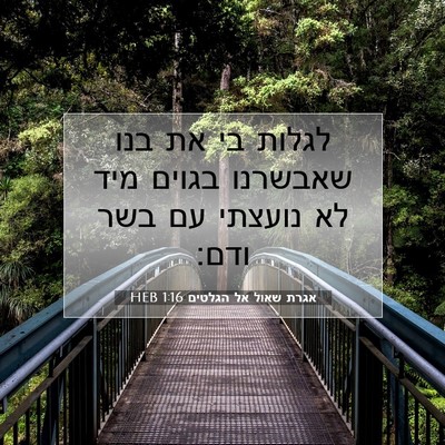 Picture 07 - אגרת שאול אל הגלטים 1:16 HEB - לגלות בי את בנו שאבשרנו - Bible Verse Picture