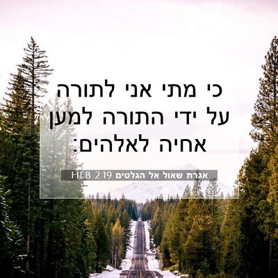 Picture 07 - אגרת שאול אל הגלטים 2:19 HEB - כי מתי אני לתורה על ידי - Bible Verse Picture