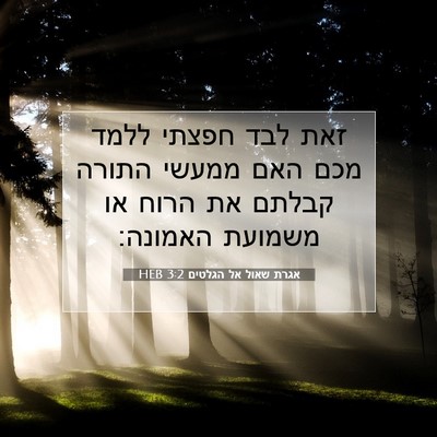 Picture 07 - אגרת שאול אל הגלטים 3:2 HEB - זאת לבד חפצתי ללמד מכם האם - Bible Verse Picture