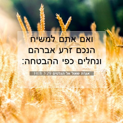 Picture 07 - אגרת שאול אל הגלטים 3:29 HEB - ואם אתם למשיח הנכם זרע - Bible Verse Picture
