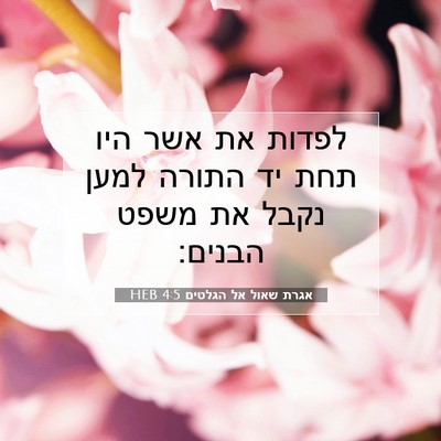Picture 07 - אגרת שאול אל הגלטים 4:5 HEB - לפדות את אשר היו תחת יד - Bible Verse Picture