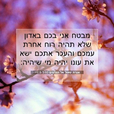 Picture 07 - אגרת שאול אל הגלטים 5:10 HEB - מבטח אני בכם באדון שלא תהיה - Bible Verse Picture
