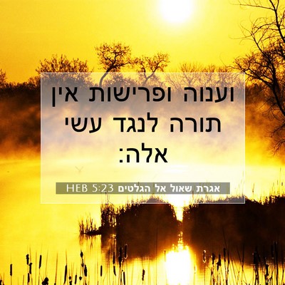 Picture 07 - אגרת שאול אל הגלטים 5:23 HEB - וענוה ופרישות אין תורה - Bible Verse Picture