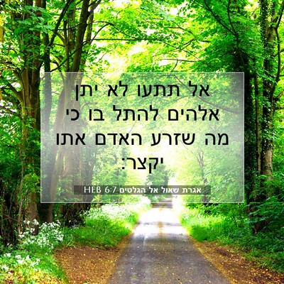 Picture 07 - אגרת שאול אל הגלטים 6:7 HEB - אל תתעו לא יתן אלהים להתל - Bible Verse Picture