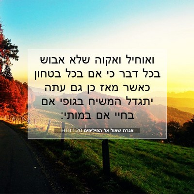 Picture 07 - אגרת שאול אל הפיליפים 1:20 HEB - ואוחיל ואקוה שלא אבוש בכל - Bible Verse Picture