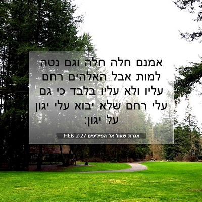 Picture 07 - אגרת שאול אל הפיליפים 2:27 HEB - אמנם חלה חלה וגם נטה למות - Bible Verse Picture
