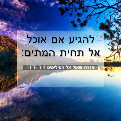 Picture 07 - אגרת שאול אל הפיליפים 3:11 HEB - להגיע אם אוכל אל תחית - Bible Verse Picture