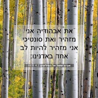 Picture 07 - אגרת שאול אל הפיליפים 4:2 HEB - את אבהודיה אני מזהיר ואת - Bible Verse Picture