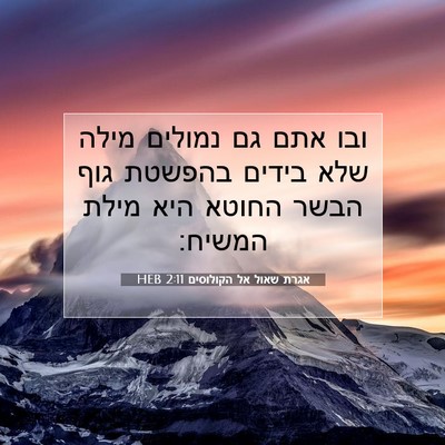Picture 07 - אגרת שאול אל הקולוסים 2:11 HEB - ובו אתם גם נמולים מילה שלא - Bible Verse Picture