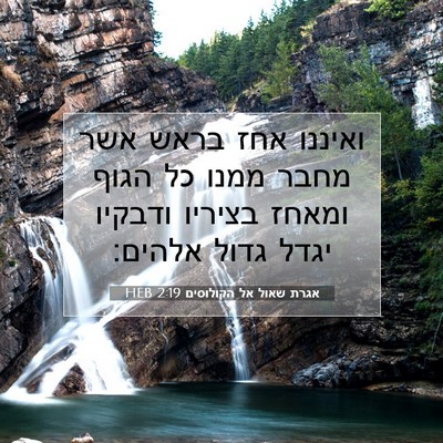 Picture 07 - אגרת שאול אל הקולוסים 2:19 HEB - ואיננו אחז בראש אשר מחבר - Bible Verse Picture