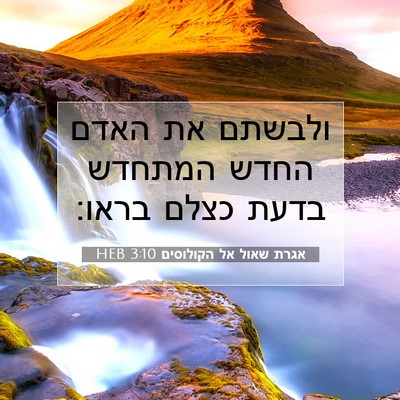 Picture 07 - אגרת שאול אל הקולוסים 3:10 HEB - ולבשתם את האדם החדש המתחדש - Bible Verse Picture