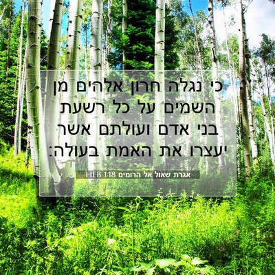 Picture 07 - אגרת שאול אל הרומים 1:18 HEB - כי נגלה חרון אלהים מן השמים - Bible Verse Picture