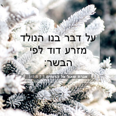 Picture 07 - אגרת שאול אל הרומים 1:3 HEB - על דבר בנו הנולד מזרע דוד - Bible Verse Picture