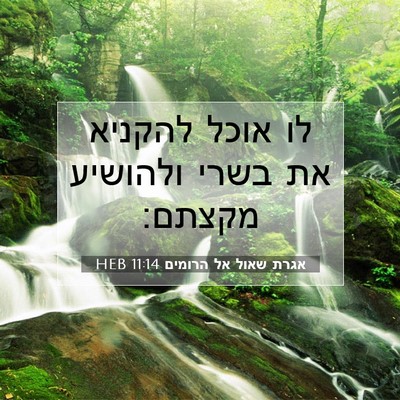 Picture 07 - אגרת שאול אל הרומים 11:14 HEB - לו אוכל להקניא את בשרי - Bible Verse Picture