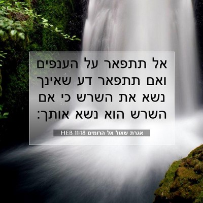 Picture 07 - אגרת שאול אל הרומים 11:18 HEB - אל תתפאר על הענפים ואם - Bible Verse Picture
