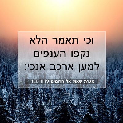 Picture 07 - אגרת שאול אל הרומים 11:19 HEB - וכי תאמר הלא נקפו הענפים - Bible Verse Picture