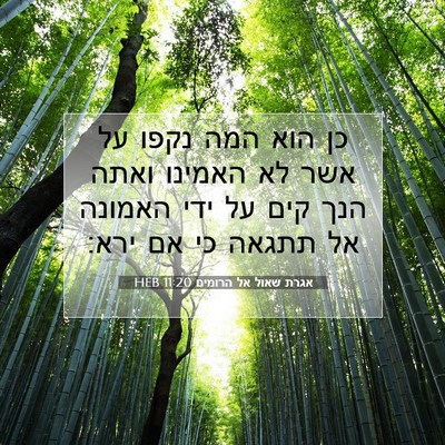 Picture 07 - אגרת שאול אל הרומים 11:20 HEB - כן הוא המה נקפו על אשר לא - Bible Verse Picture