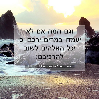 Picture 07 - אגרת שאול אל הרומים 11:23 HEB - וגם המה אם לא יעמדו במרים - Bible Verse Picture
