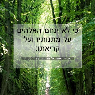 Picture 07 - אגרת שאול אל הרומים 11:29 HEB - כי לא ינחם האלהים על - Bible Verse Picture