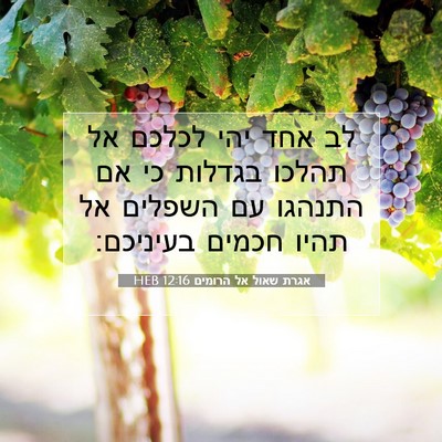 Picture 07 - אגרת שאול אל הרומים 12:16 HEB - לב אחד יהי לכלכם אל תהלכו - Bible Verse Picture