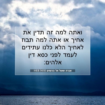 Picture 07 - אגרת שאול אל הרומים 14:10 HEB - ואתה למה זה תדין את אחיך או - Bible Verse Picture