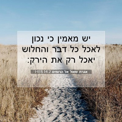 Picture 07 - אגרת שאול אל הרומים 14:2 HEB - יש מאמין כי נכון לאכל כל - Bible Verse Picture