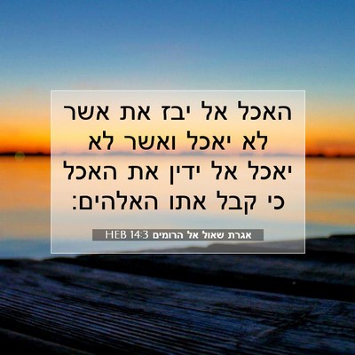 Picture 07 - אגרת שאול אל הרומים 14:3 HEB - האכל אל יבז את אשר לא יאכל - Bible Verse Picture