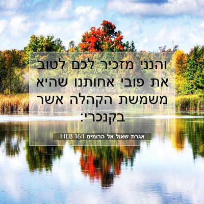Picture 07 - אגרת שאול אל הרומים 16:1 HEB - והנני מזכיר לכם לטוב את - Bible Verse Picture