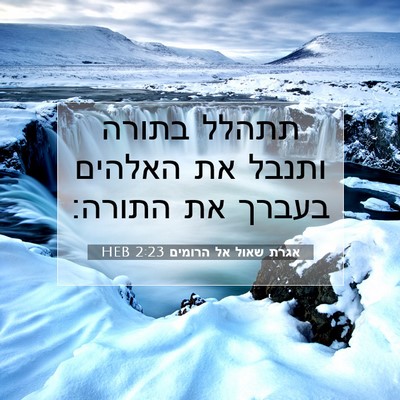 Picture 07 - אגרת שאול אל הרומים 2:23 HEB - תתהלל בתורה ותנבל את - Bible Verse Picture