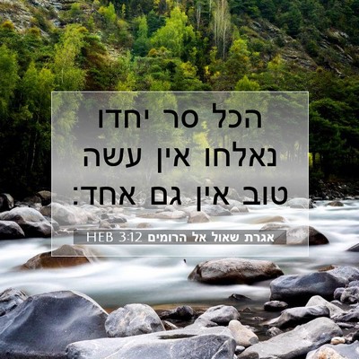Picture 07 - אגרת שאול אל הרומים 3:12 HEB - הכל סר יחדו נאלחו אין עשה - Bible Verse Picture