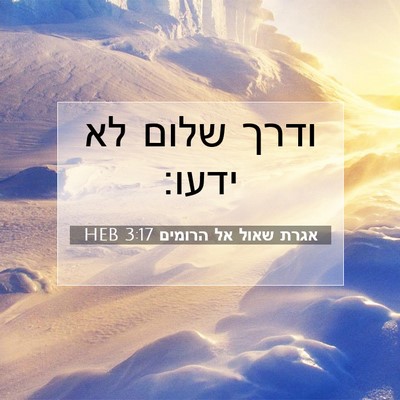 Picture 07 - אגרת שאול אל הרומים 3:17 HEB - ודרך שלום לא - Bible Verse Picture
