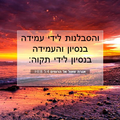 Picture 07 - אגרת שאול אל הרומים 5:4 HEB - והסבלנות לידי עמידה בנסיון - Bible Verse Picture