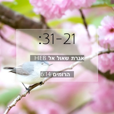 Picture 07 - אגרת שאול אל הרומים 6:14 HEB -  - Bible Verse Picture