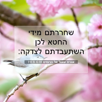 Picture 07 - אגרת שאול אל הרומים 6:18 HEB - שחררתם מידי החטא לכן - Bible Verse Picture