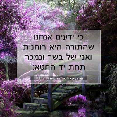 Picture 07 - אגרת שאול אל הרומים 7:14 HEB - כי ידעים אנחנו שהתורה היא - Bible Verse Picture