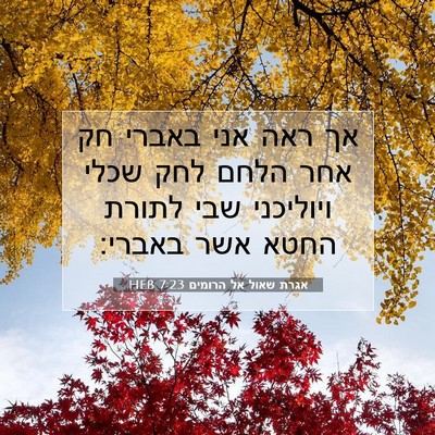 Picture 07 - אגרת שאול אל הרומים 7:23 HEB - אך ראה אני באברי חק אחר - Bible Verse Picture