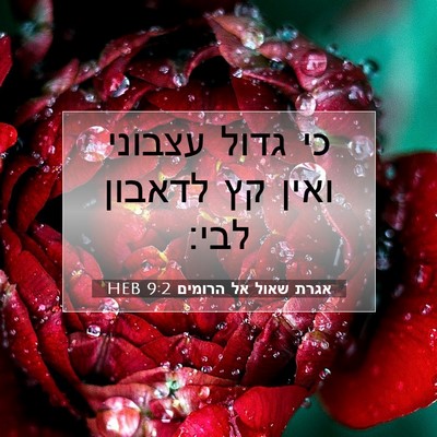 Picture 07 - אגרת שאול אל הרומים 9:2 HEB - כי גדול עצבוני ואין קץ - Bible Verse Picture