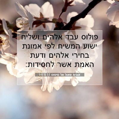 Picture 07 - אגרת שאול אל טיטוס 1:1 HEB - פולוס עבד אלהים ושליח ישוע - Bible Verse Picture