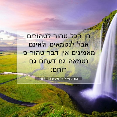 Picture 07 - אגרת שאול אל טיטוס 1:15 HEB - הן הכל טהור לטהורים אבל - Bible Verse Picture