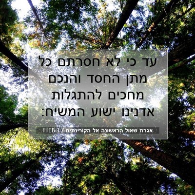 Picture 07 - אגרת שאול הראשונה אל הקורינתים 1:7 HEB - עד כי לא חסרתם כל מתן החסד - Bible Verse Picture