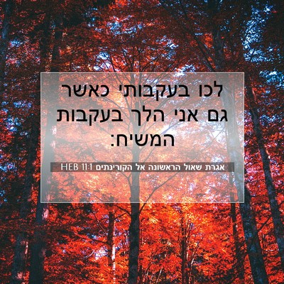 Picture 07 - אגרת שאול הראשונה אל הקורינתים 11:1 HEB - לכו בעקבותי כאשר גם אני הלך - Bible Verse Picture
