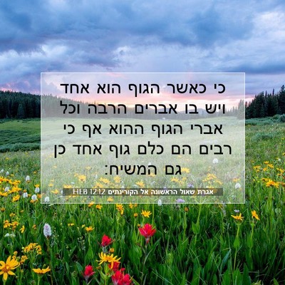 Picture 07 - אגרת שאול הראשונה אל הקורינתים 12:12 HEB - כי כאשר הגוף הוא אחד ויש בו - Bible Verse Picture