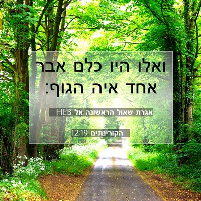 Picture 07 - אגרת שאול הראשונה אל הקורינתים 12:19 HEB - ואלו היו כלם אבר אחד איה - Bible Verse Picture