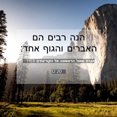 Picture 07 - אגרת שאול הראשונה אל הקורינתים 12:20 HEB - הנה רבים הם האברים והגוף - Bible Verse Picture