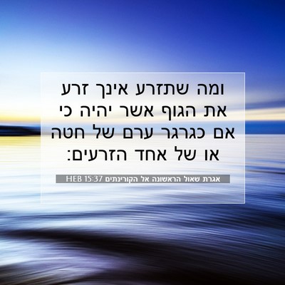 Picture 07 - אגרת שאול הראשונה אל הקורינתים 15:37 HEB - ומה שתזרע אינך זרע את הגוף - Bible Verse Picture