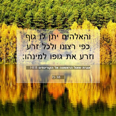 Picture 07 - אגרת שאול הראשונה אל הקורינתים 15:38 HEB - והאלהים יתן לו גוף כפי - Bible Verse Picture