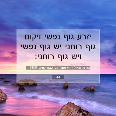 Picture 07 - אגרת שאול הראשונה אל הקורינתים 15:44 HEB - יזרע גוף נפשי ויקום גוף - Bible Verse Picture