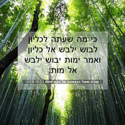 Picture 07 - אגרת שאול הראשונה אל הקורינתים 15:53 HEB - כי מה שעתה לכליון לבוש ילבש - Bible Verse Picture