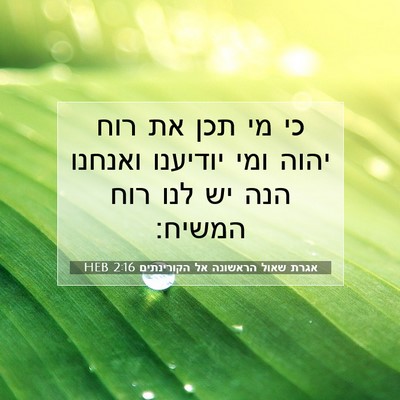 Picture 07 - אגרת שאול הראשונה אל הקורינתים 2:16 HEB - כי מי תכן את רוח יהוה ומי - Bible Verse Picture