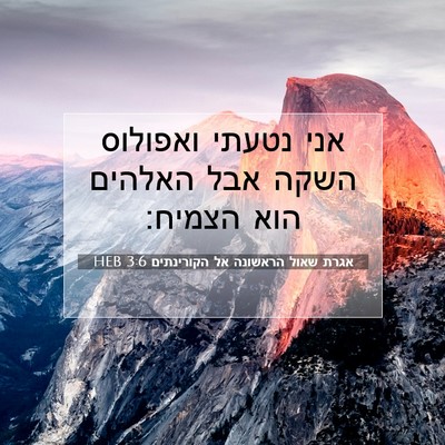 Picture 07 - אגרת שאול הראשונה אל הקורינתים 3:6 HEB - אני נטעתי ואפולוס השקה אבל - Bible Verse Picture